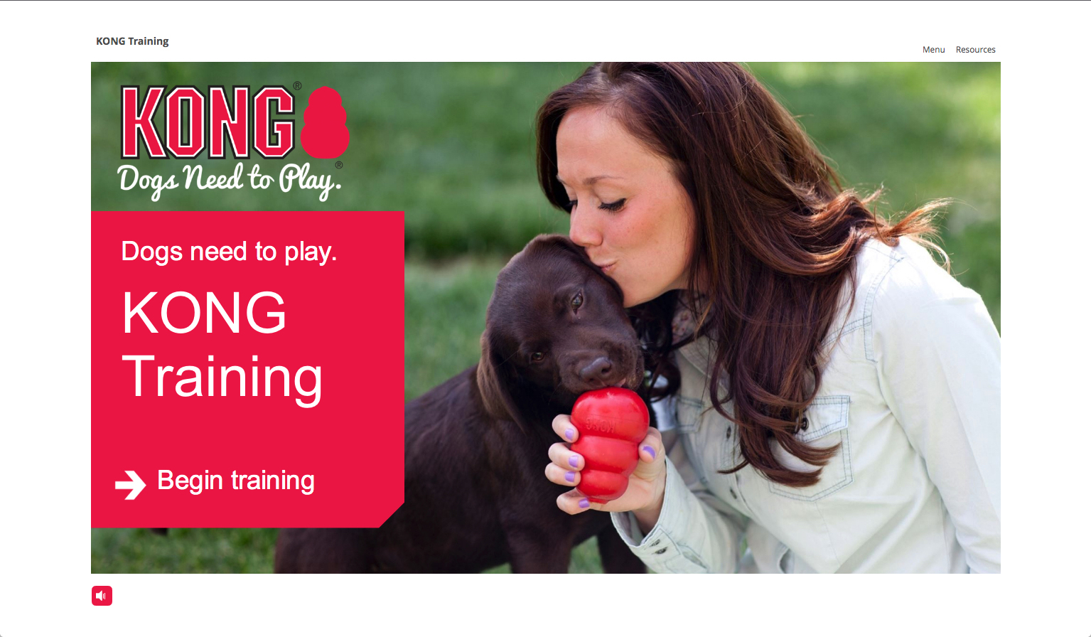 KONG_training